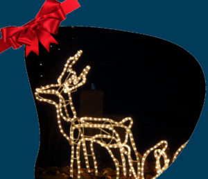 Decorative lights may be a bad gift to self when not approached appropriately.